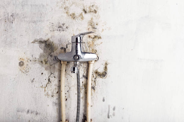 Mold Testing and Removal in Warsaw, VA