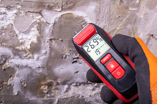 Mold Removal Process in Warsaw, VA