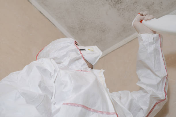 Best Commercial Mold Removal  in Warsaw, VA