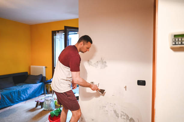 Best Mold Cleaning Services  in Warsaw, VA