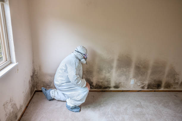Best Emergency Mold Removal  in Warsaw, VA